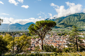 Meran, Weinberge, Panoramaweg, Altstadt, Tappeinerweg, Spazierweg, Promenade, Vinschgau, Etschtal, Aussichtspunkt, Südtirol, Sommer, Herbst, Italien