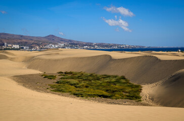 Fototapeta na wymiar View of Maspalomas dunes and El Ingles beach on the background, Grand Canary, Canary Islands, Spain