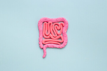 Intestines colon organ stomach shape of plasticine. Digestive tract problems colitis or colon cancer