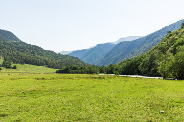 Idyllic landscape with fresh green meadows and blooming flowers and snow-capped mountain tops in the background