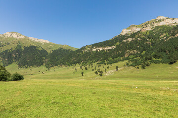 Fototapeta na wymiar Summer mountains green grass and blue sky landscape