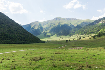 Idyllic landscape with fresh green meadows and blooming flowers and snow-capped mountain tops in the background