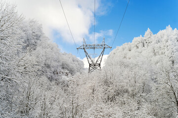 Power line in the snowy forest - 568791562