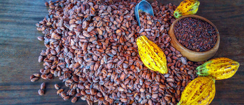 Cacao nibs are cocoa beans that have been cold-ground or ground at low temperatures to form tiny, bitter organic cocoa beans.