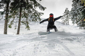 woman on a snowboard in a helmet quickly descends from the ski slope in the middle of the forest, creating a plume of snow behind her. a girl on a snowboard brakes sharply in the forest