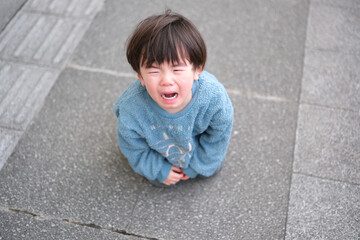 イヤイヤ期の子供