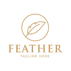 feather logo vector template isolated