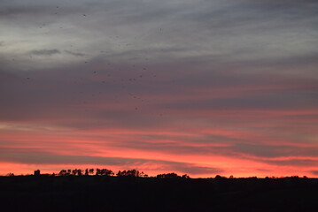 Dramatic sunset over Cornish mine and trees