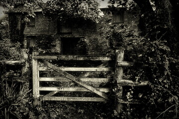 Old overgrown farm gate