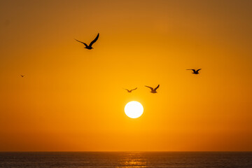 Naklejka premium take my hands and look me in the eye