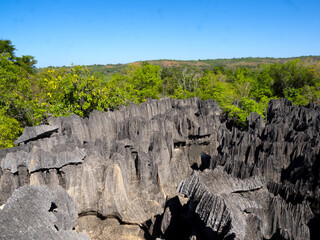 The sharp gray rocks of Tsinga Bemaraha, a UNESCO World Heritage Site above, are then green. Madagascar