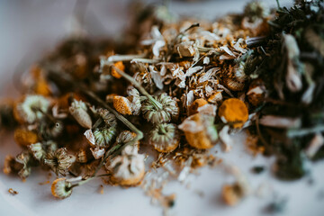 close up of a pile of dried flowers on the ground