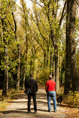 Fototapeta premium Dos hombres paseando con su perro por el bosque en otoño.