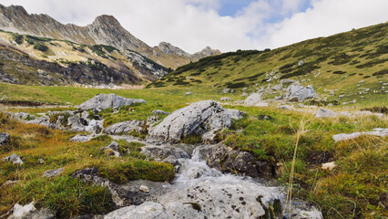 Fototapeta na wymiar A small mountain stream in good weather. Stunning mountain landscape
