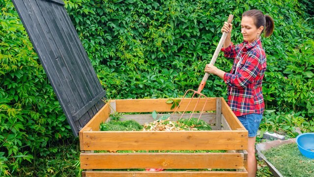 Making compost from organic waste in the garden. A woman stirs waste in a wooden compost bin with a pitchfork. Using kitchen waste to make compost. Increasing the fertility and aeration of the soil.