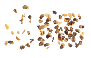 Salt Broad Beans flying explosion, broad bean fall down abstract fly. Tropical Salty roasted broad bean splash throwing in Air. White background Isolated high speed shutter, freeze action