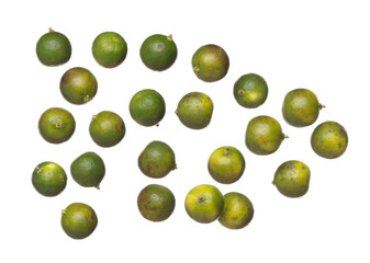 Green Lime fly explosion, many round green lime fall down fruit. group of Tropical green lime with rough natural surface throw in air. White background Isolated high speed shutter, freeze action