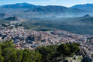 Obraz premium Aerial view of the Cathedral of Jaén predominating in the city, and a field of olive trees in the background