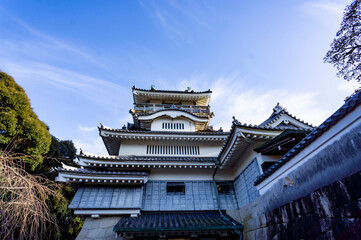 Old Japan castle
