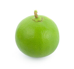 lime isolated on white background.