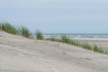 Waves and sand dunes on beach in Stone Harbor, New Jersey