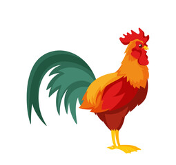 Cock with Long Fluffy Tail, Red Cockscomb and Wattles. Male Domestic Chicken Icon. Cartoon Vector Illustration