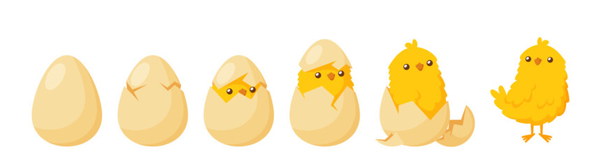 Chick Hatching from Egg. Development of Poultry. Birth Process of Domestic Bird Character. Cartoon Vector Illustration