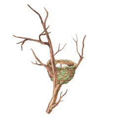 Nest with two eggs on a branch. Watercolor illustration. Round thatched hummingbird house. Isolated on a white background. For home decor design, rustic textile prints, vintage Easter stickers