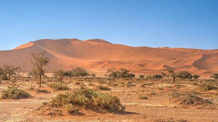 Fototapeta na wymiar Namib Desert Dunes around Sossusvlei, HDR Image