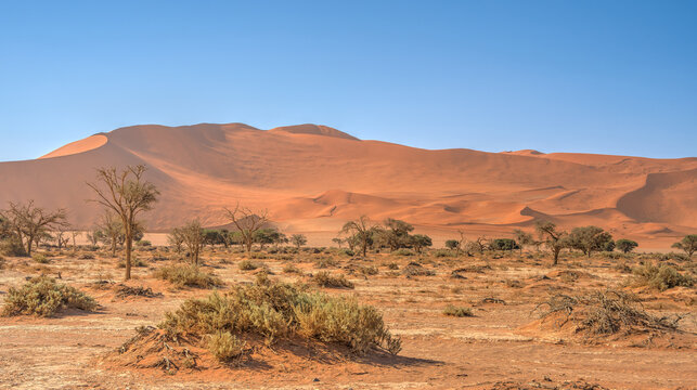 Namib Desert Dunes around Sossusvlei, HDR Image