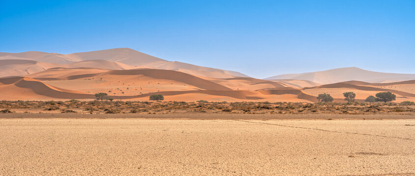 Namib Desert Dunes around Sossusvlei, HDR Image