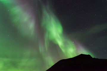 Lofoten islands Northern Lights