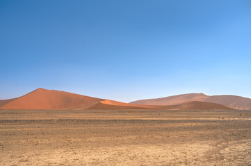 Obraz na płótnie Canvas Namib Desert Dunes around Sossusvlei, HDR Image