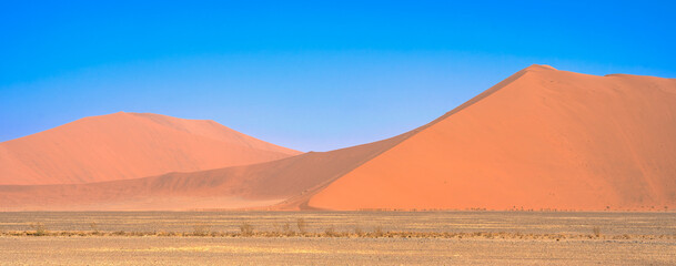 Naklejka na ściany i meble Namib Desert Dunes around Sossusvlei, HDR Image