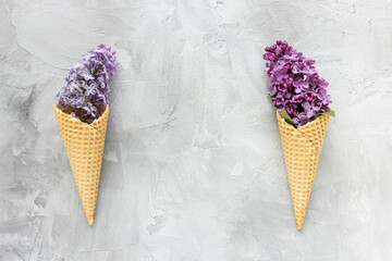 Fresh lilac flowers in ice cream cone. Abstract spring background