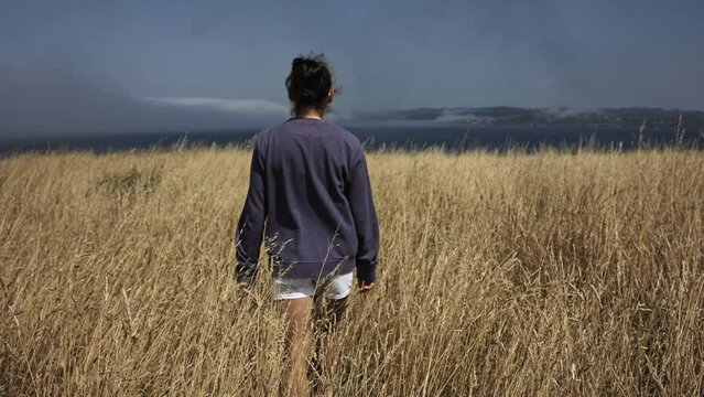 The View From Behind From The Back Of A Girl Walking Through A Field Of Wheat To The Blue Ocean.