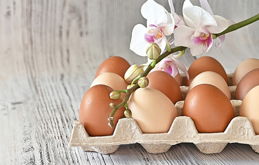 Composition with Easter eggs and branches on wite background.Postcard.