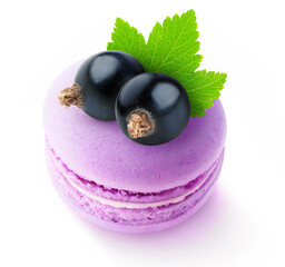Close-up of two black currant berries on top of pink macaroon isolated on white background