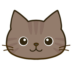 シンプルなまん丸目のキジトラ猫　アップ