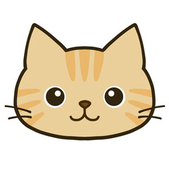 シンプルなまん丸目の茶トラ猫