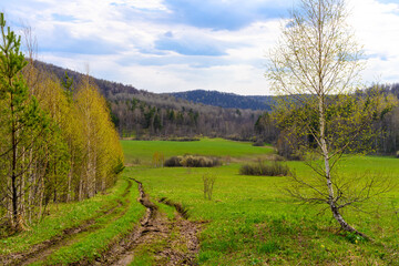 South Ural forest road with a unique landscape, vegetation and diversity of nature.