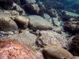 Fondale marino Taormina