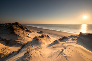 golden sunshine over sand dunes and sea beach - 568827900