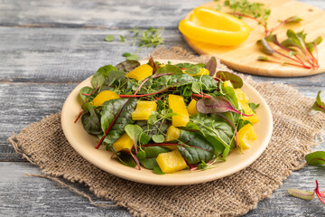Vegetarian salad of yellow pepper, beet microgreen sprouts on gray. Side view, close up.