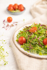 Vegetarian salad of tomatoes, celery, onion microgreen sprouts on gray concrete. Side view, selective focus.