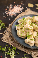 Dumplings with pepper, herbs, microgreen on black concrete. Side view, selective focus.