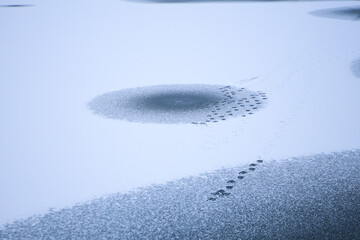 Duck tracks on a frozen lake