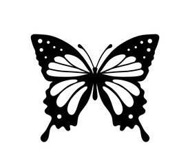 Black decorative butterfly on white background. Vector