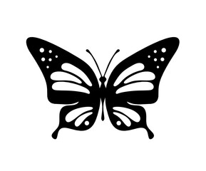 Black decorative butterfly on white background. Vector