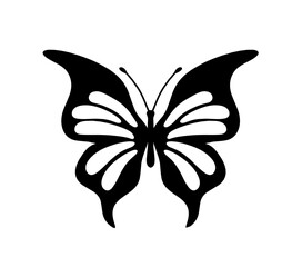 Black decorative butterfly on white background. Vector